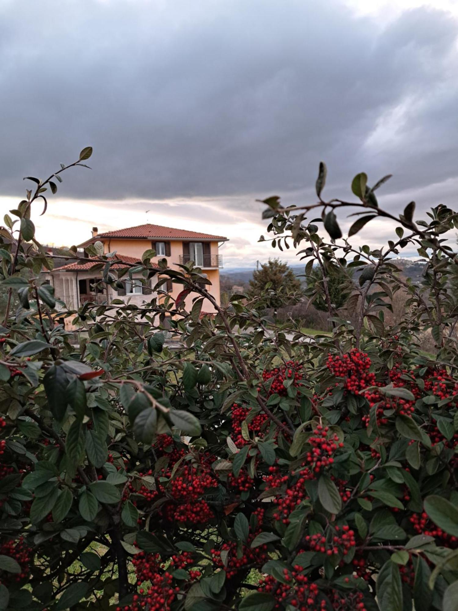 La Casa Di Mezzo-Affitti Brevi-Zona Ospedali Villa Busso Екстериор снимка